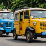 découvrez une expérience inoubliable en tuk-tuk lors d'une excursion fascinante.