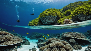 découvrez pourquoi la plongée à koh haa est indispensable pour les passionnés de découvertes sous-marines. explorez les richesses des fonds marins lors de cette expérience unique.